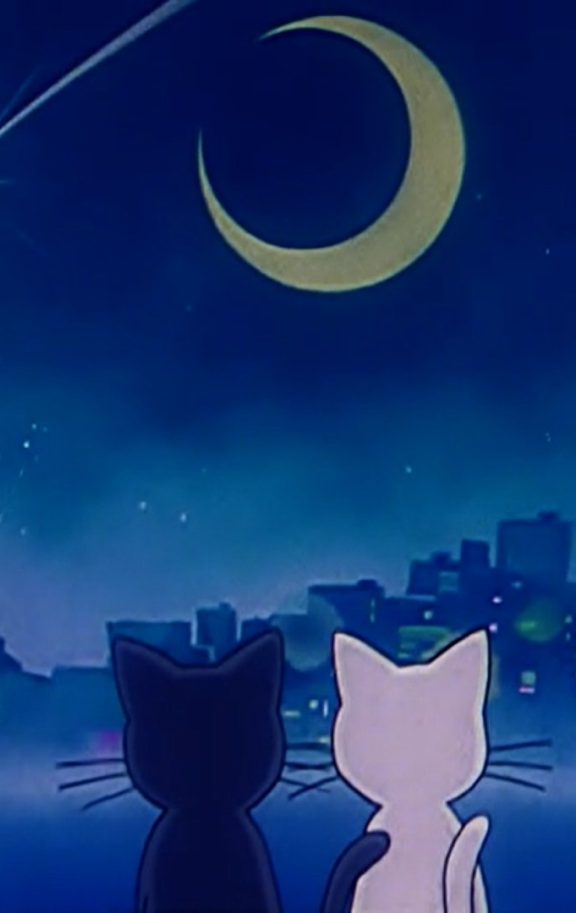 Sailor Moon Cartoon